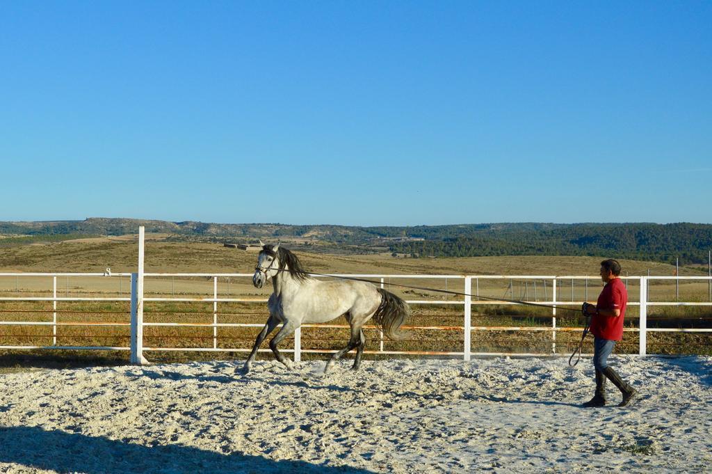 Rural Reillo Alojamientos Rurales Екстер'єр фото