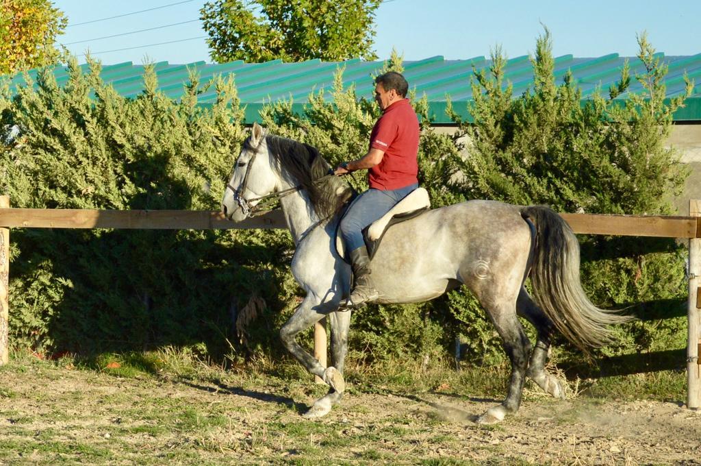 Rural Reillo Alojamientos Rurales Екстер'єр фото