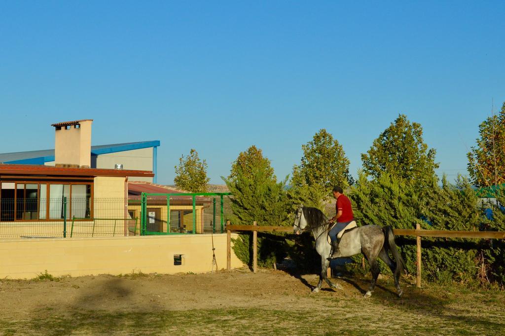 Rural Reillo Alojamientos Rurales Екстер'єр фото